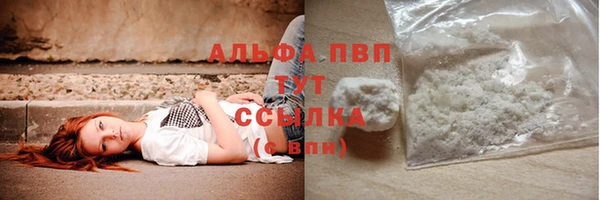 молекула духа Иннополис