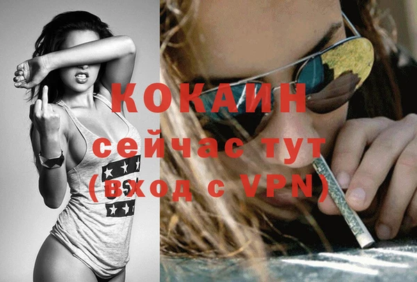 метадон Инта