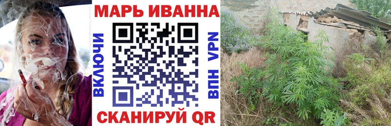Купить закладки  Чапаевск  Каннабис индика 